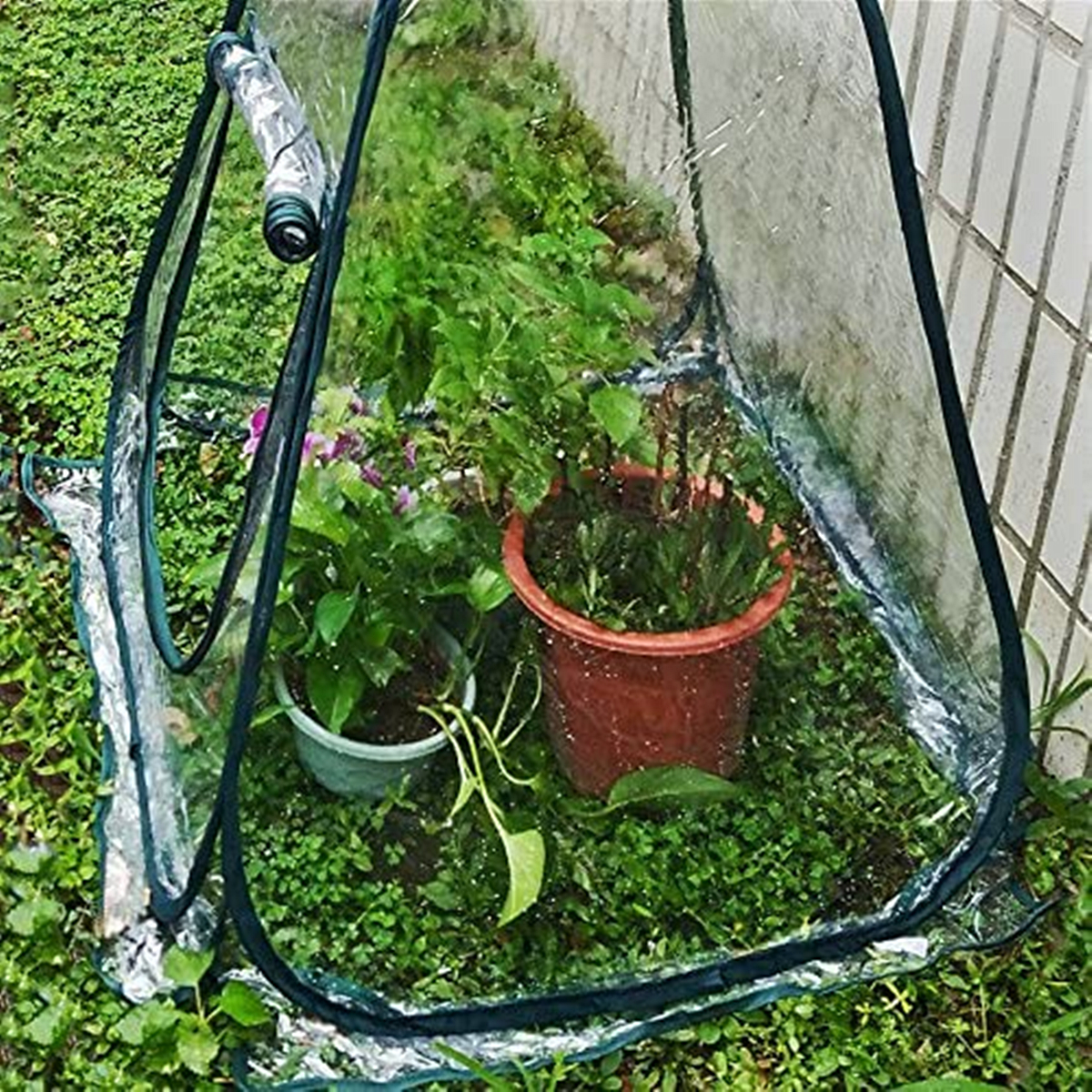 PVCWarmGardenFoldingMiniGreenhousePlantsCoverWaterproofPlantsProtector3120x2730inch-1725927-11