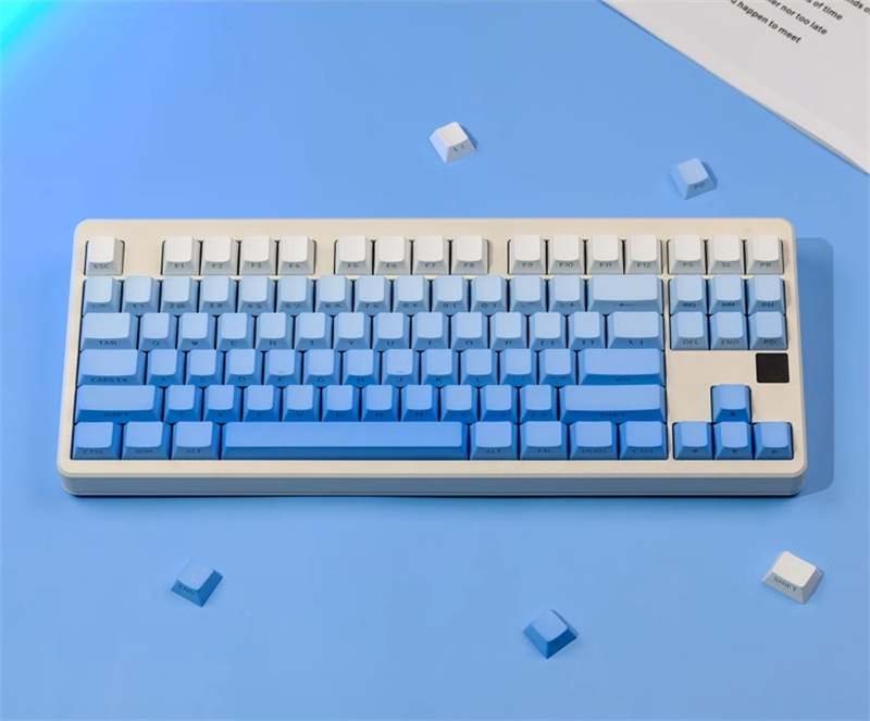 129KeysGradientColorsPBTKeycapSetOEMProfileTranslucentCustomKeycapsforMechanicalKeyboards-2007517-2