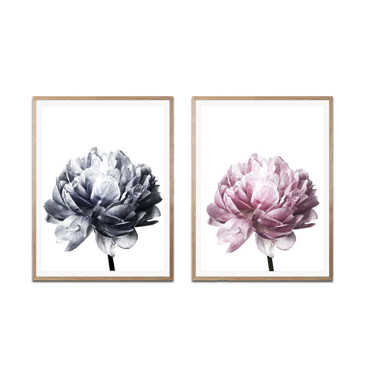 20x3030x40cmFlowerModernWallArtCanvasPaintingsPictureHomeDecorMuralPosterwithFrame-1632681-4