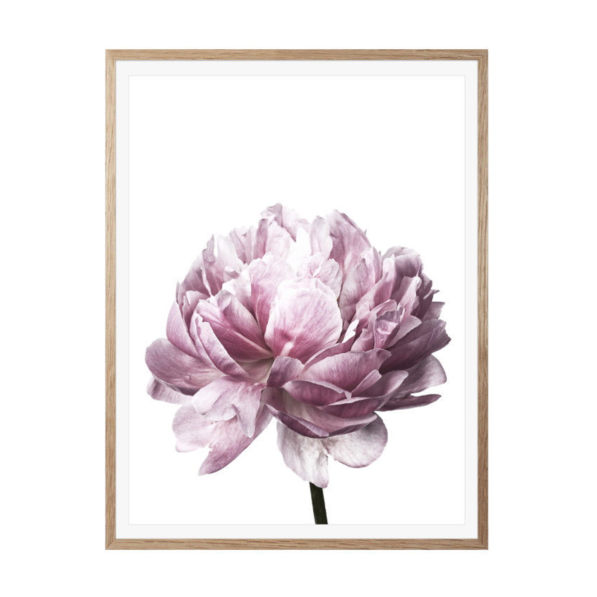 20x3030x40cmFlowerModernWallArtCanvasPaintingsPictureHomeDecorMuralPosterwithFrame-1632681-6