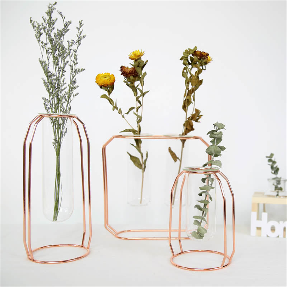 GlassVaseFlowerHolderPlantContainerMetalLineforDecorations-1450433-10