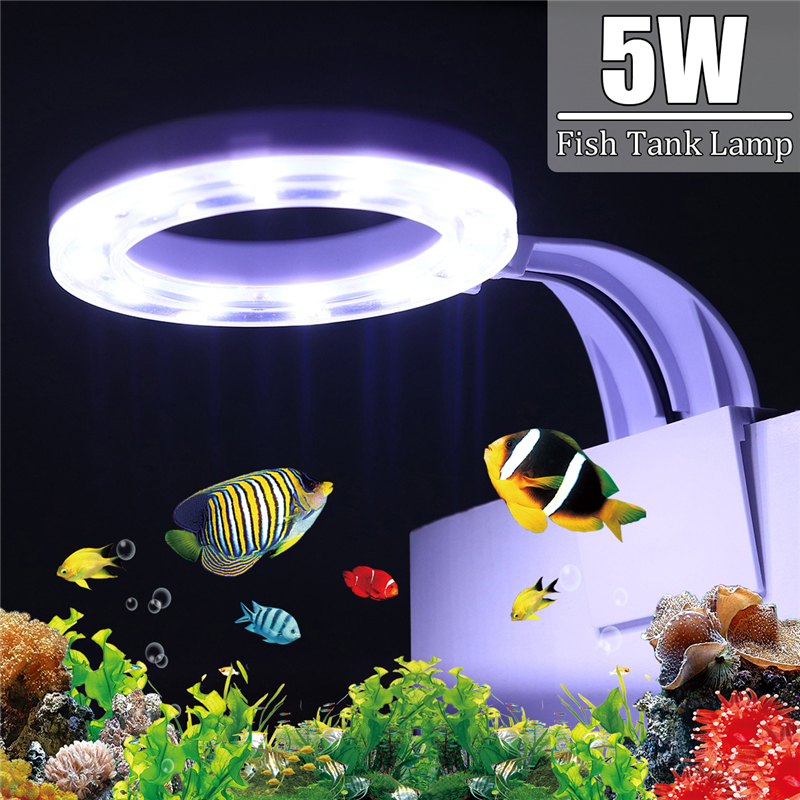 5WAC80-240VMiniFishTankClipLamp12LEDAquariumLightClip-onFishTankLight-1509184-2