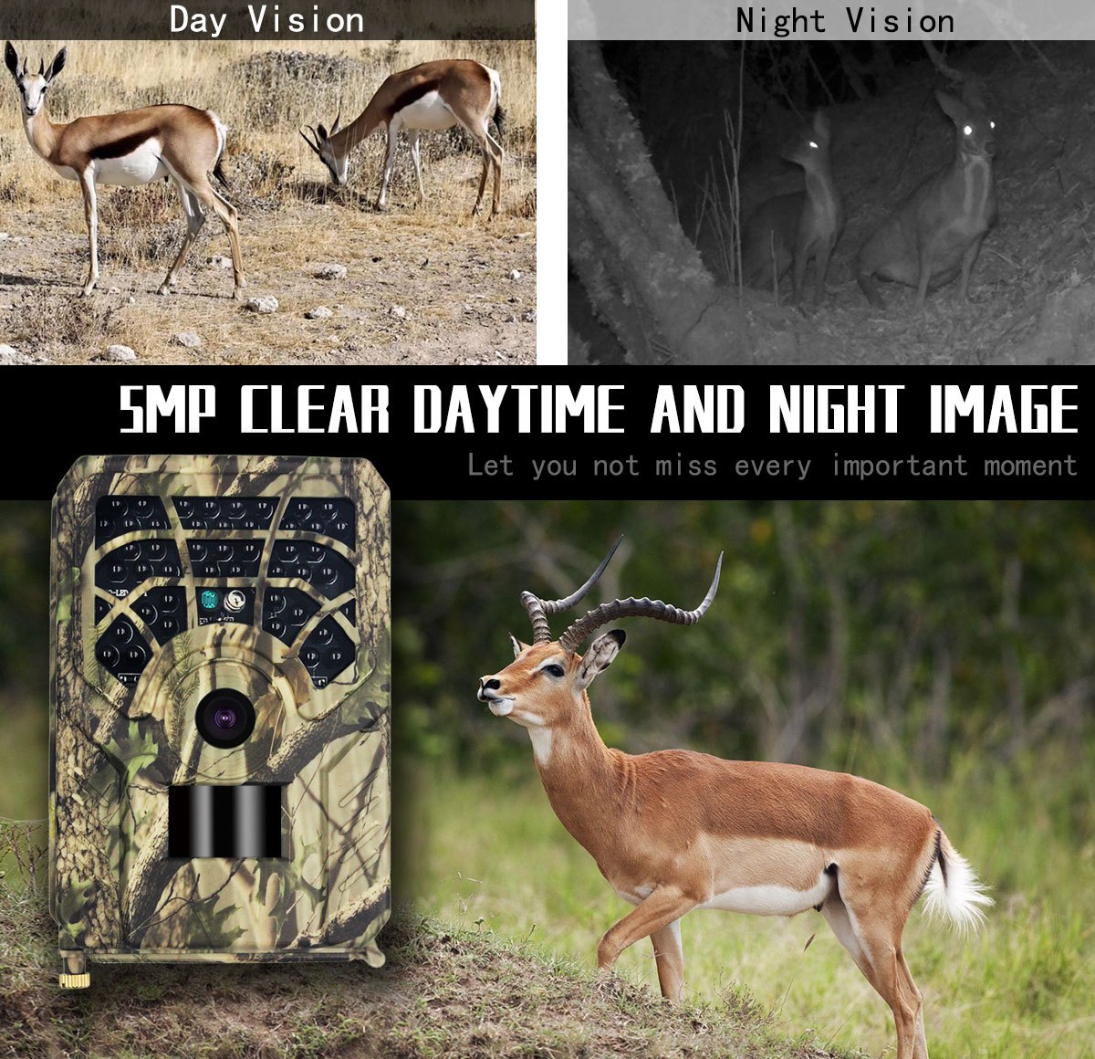 PR300A720PWildlifeTrailCamera46PcsInfraredBeam08sHuntingCameraNightVision12DegreesPhotoTrapWildlifeT-1987967-5