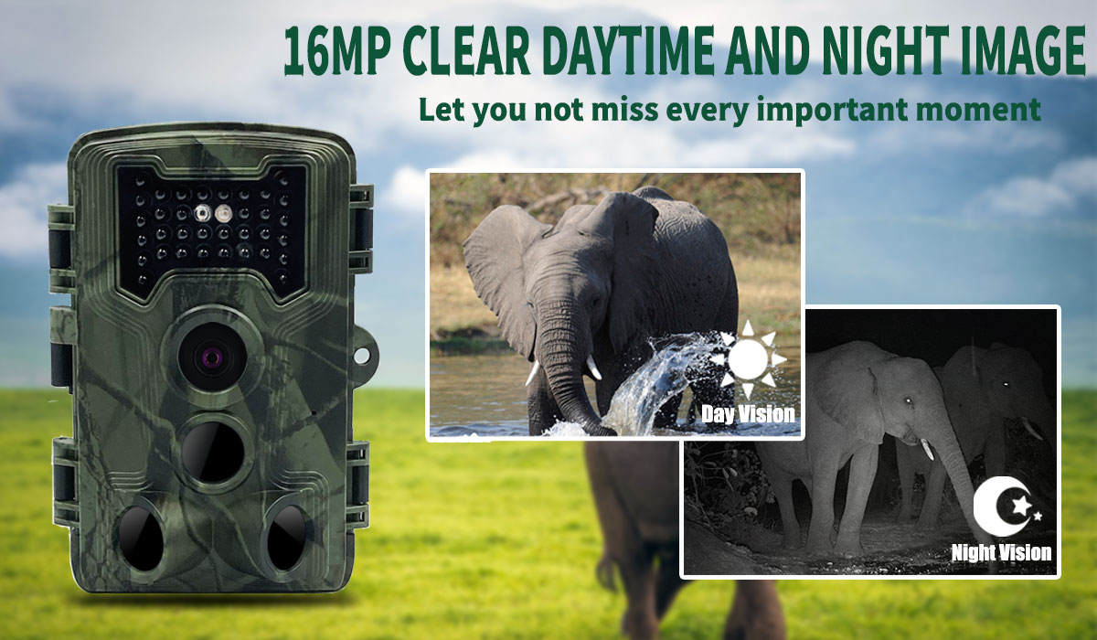 TrailCamera1080P16MPWildlifeCameraHuntingTrailCamerasInfraredWithNightVisionForOutdoorWildlifeAnimal-1948732-2