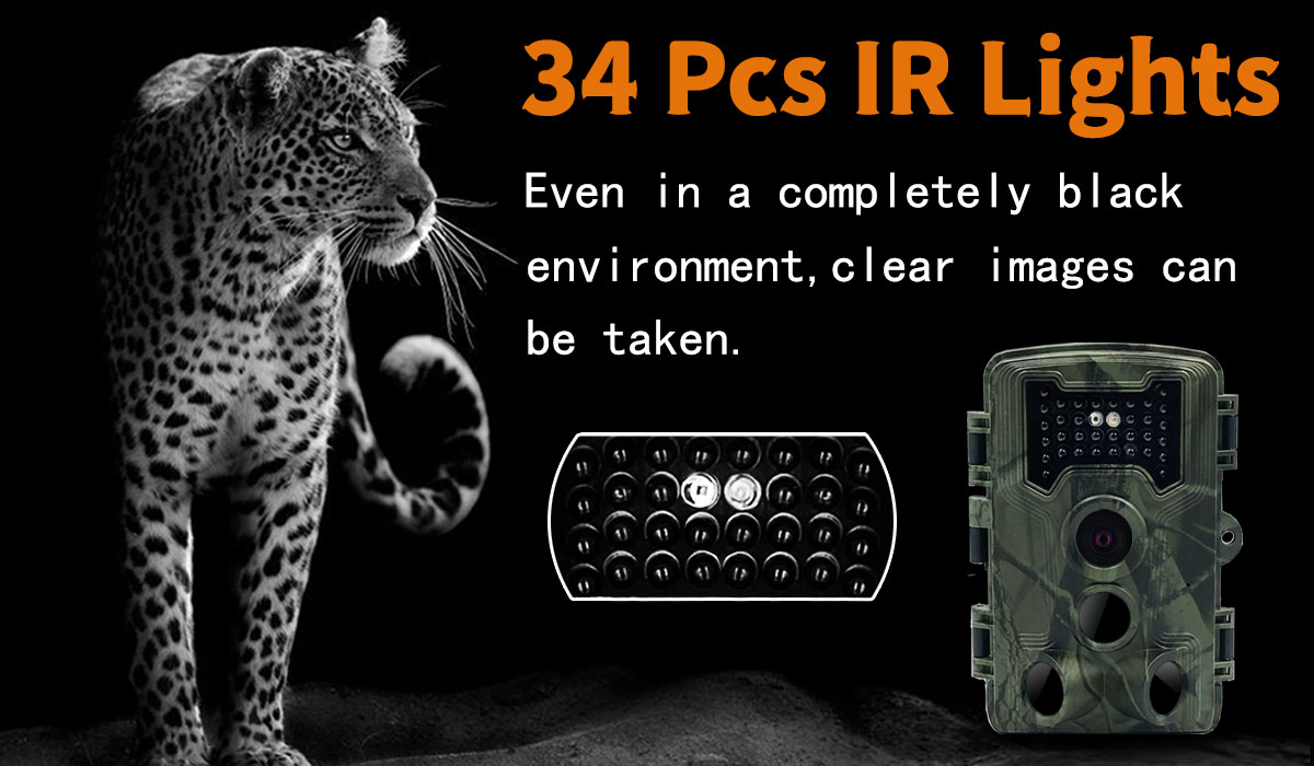TrailCamera1080P16MPWildlifeCameraHuntingTrailCamerasInfraredWithNightVisionForOutdoorWildlifeAnimal-1948732-3