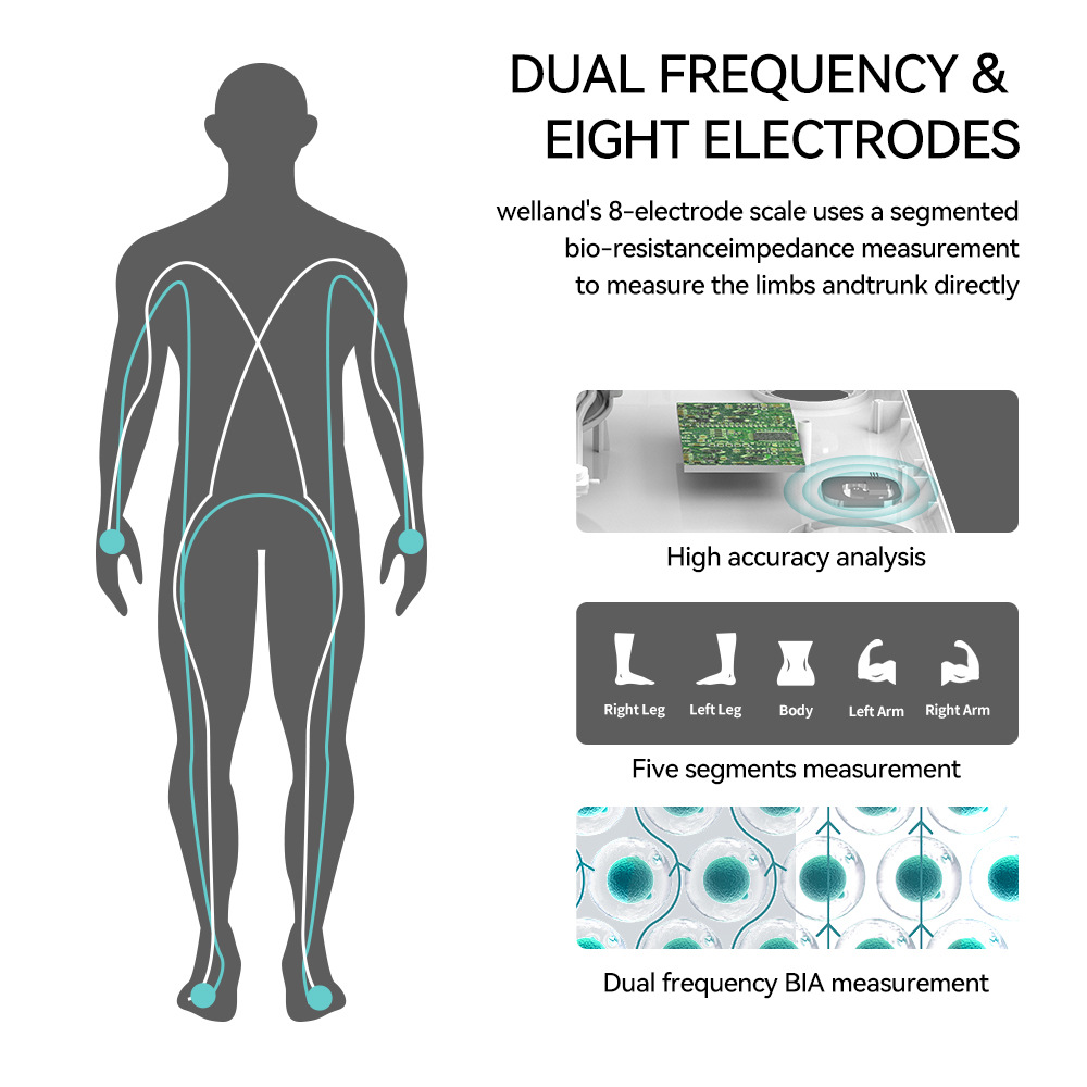 SmartBodyFatScale28KeyBodyDataAnalyzeScale8-ElectrodeBodyFatScaleSupport180kgProfessionalBodyComposi-2012912-11