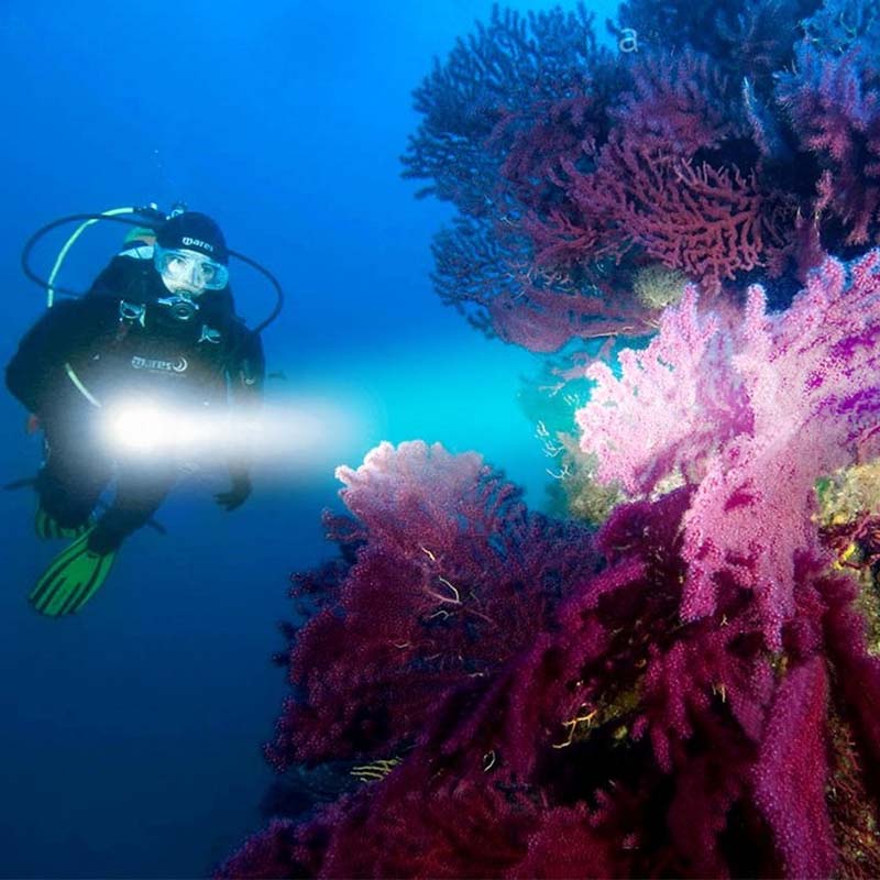 P205WLEDDivingFlashlight300LMLanternAluminumAlloyWaterproofUnderwaterScubaFlashlightTorchLamp-1987189-8