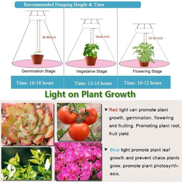 100WFullSpectrum100LEDGrowLightLampforPlantsHydroponicIndoorFlower-1127629-6