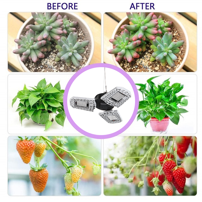 216297LEDGrowLightFoldableRedandBlueLightforNurserySupplementLightE27WaterproofPlantGrowthLight-1755118-10