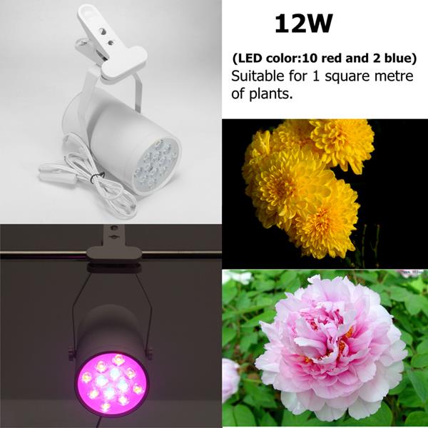 3W7W12WLEDPlantLightsGrowLampFloodSupplementaryLight-1189956-4