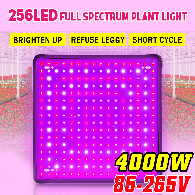 5000WLEDFullSpectrumPlantUVGrowLightVegGrowingLampIndoorHydroponic-1957648-1