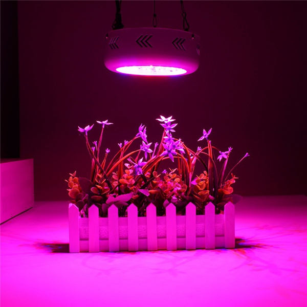 70WUFOLEDFullSpectrumGrowLightLampforPlantsHydroponicIndoorFlower-1122366-8