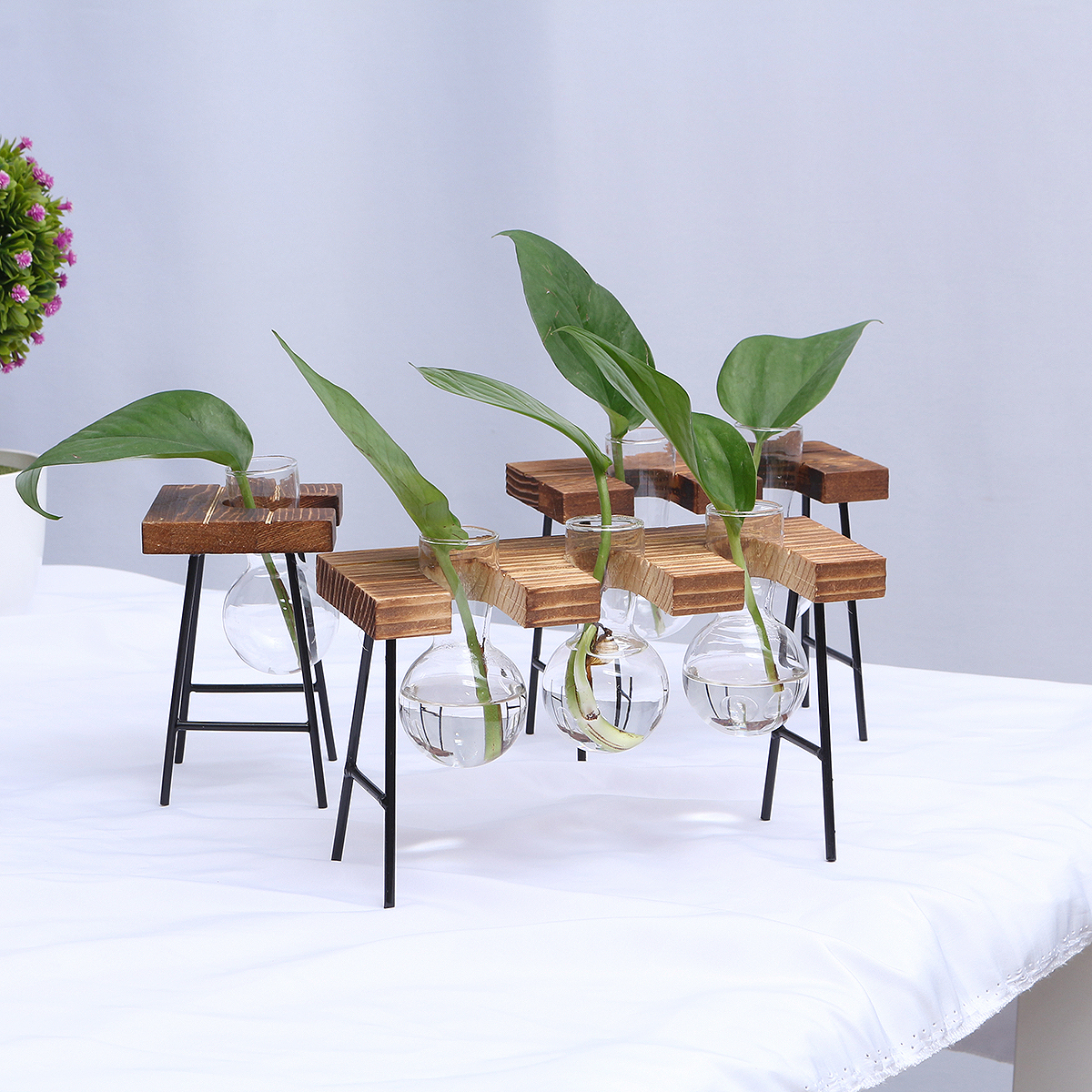 BallShapeGlassVasePlantHydroponicContainerFlowerBottleTableDeskDecorwithWoodenShelfStand-1478846-3