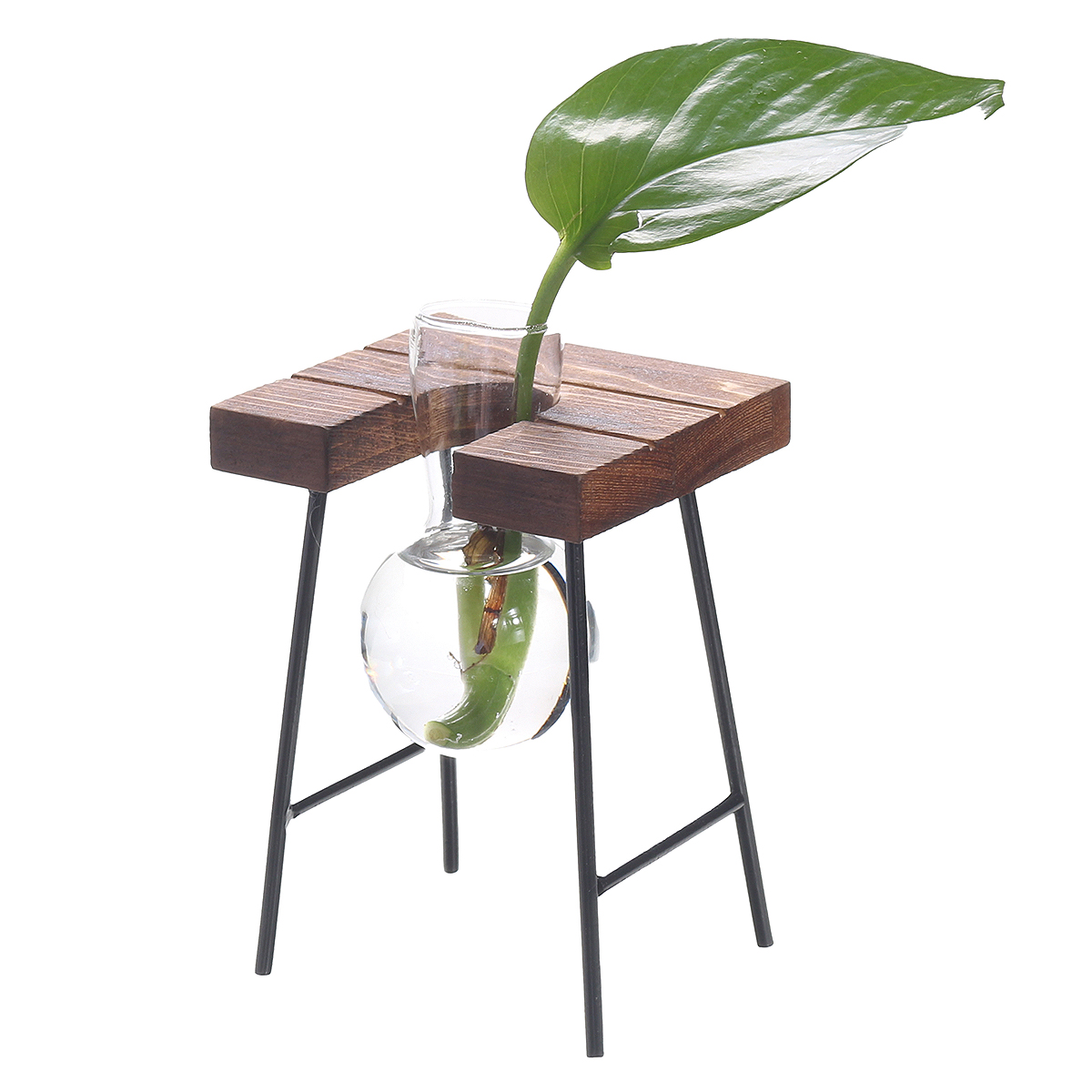 BallShapeGlassVasePlantHydroponicContainerFlowerBottleTableDeskDecorwithWoodenShelfStand-1478846-7