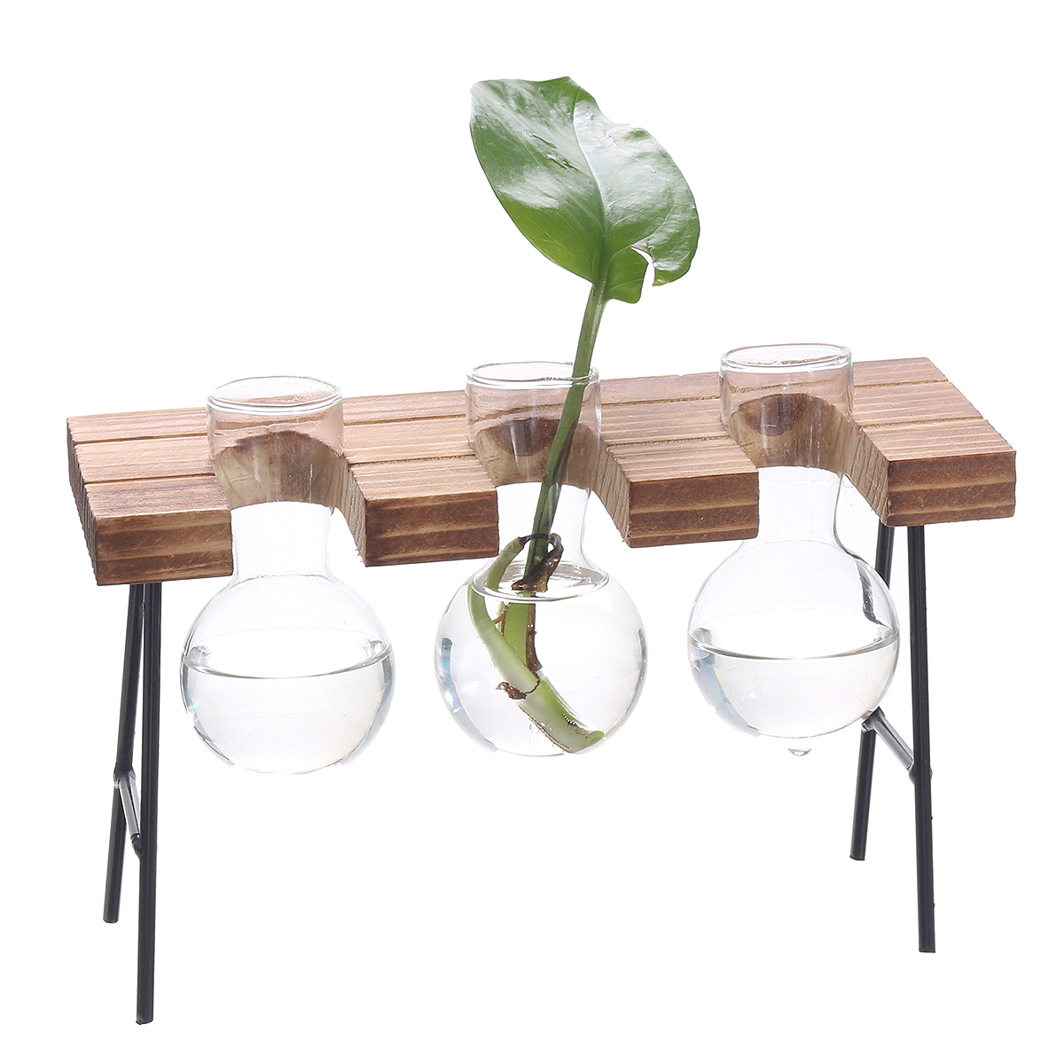 BallShapeGlassVasePlantHydroponicContainerFlowerBottleTableDeskDecorwithWoodenShelfStand-1478846-8