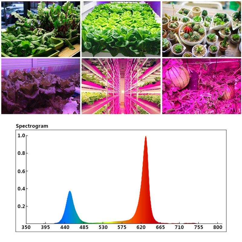 E27DeformableLEDGrowLightFullSpectrumGrowingLampforPlantHydroponics-1735751-5