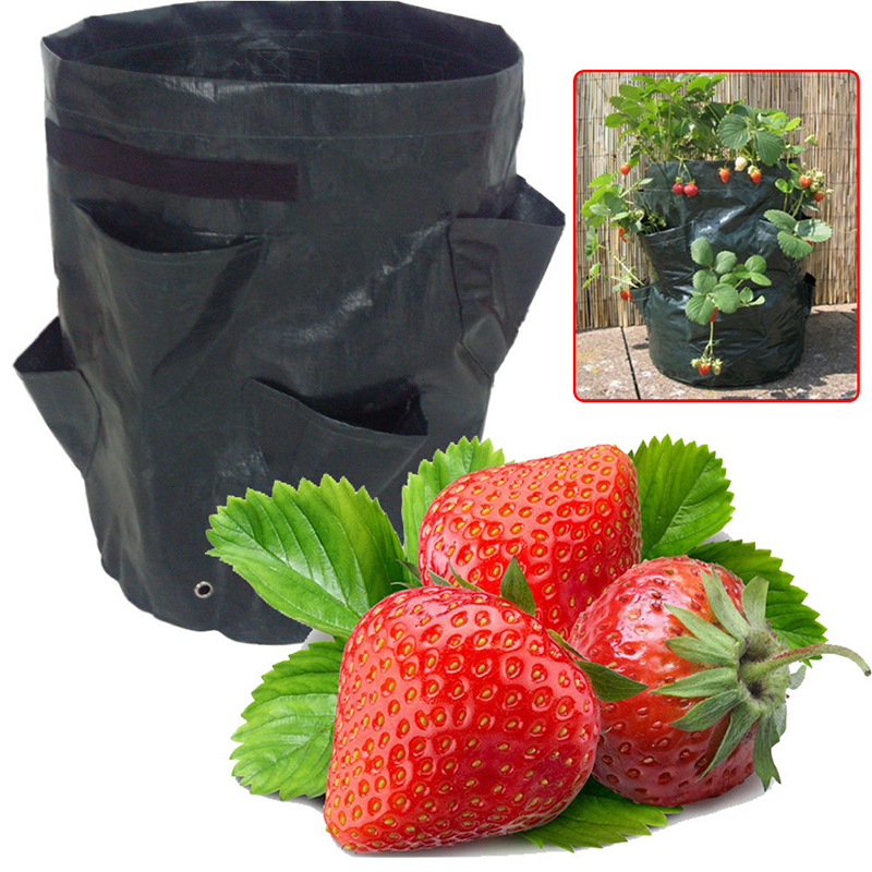 Garden8PocketsStrawberryPlanterYardBalconyVegetableFruitHerbsPlantingGrowingBag-1273471-1