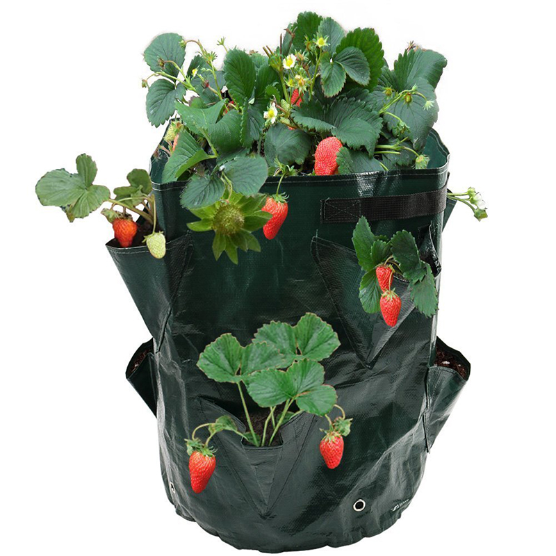 Garden8PocketsStrawberryPlanterYardBalconyVegetableFruitHerbsPlantingGrowingBag-1273471-6