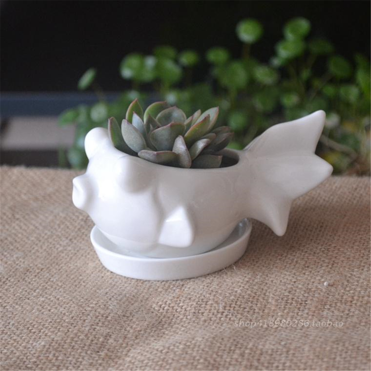 RabbitCeramicFlowerPotPlanterOutdoorIndoorDecorationwithRoundTray-1454876-6