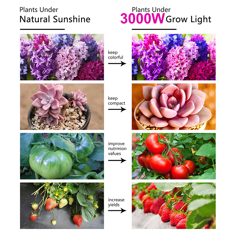 3000WLEDGrowLight13000LumensPlantFlowerFullSpectrumVegFlowerGreenhouseLamp-1727644-3