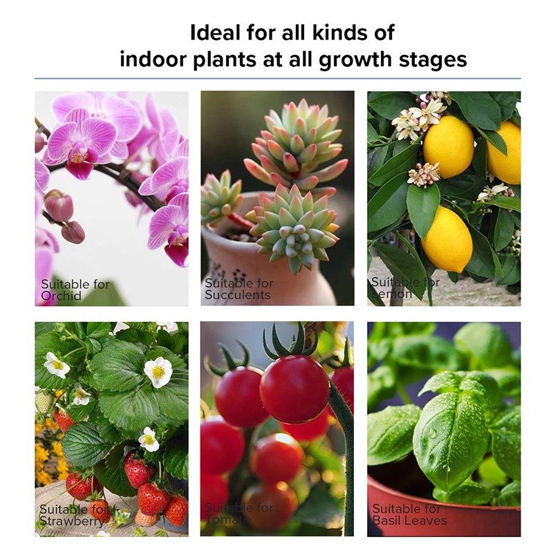 3000WLEDGrowLight13000LumensPlantFlowerFullSpectrumVegFlowerGreenhouseLamp-1727644-4