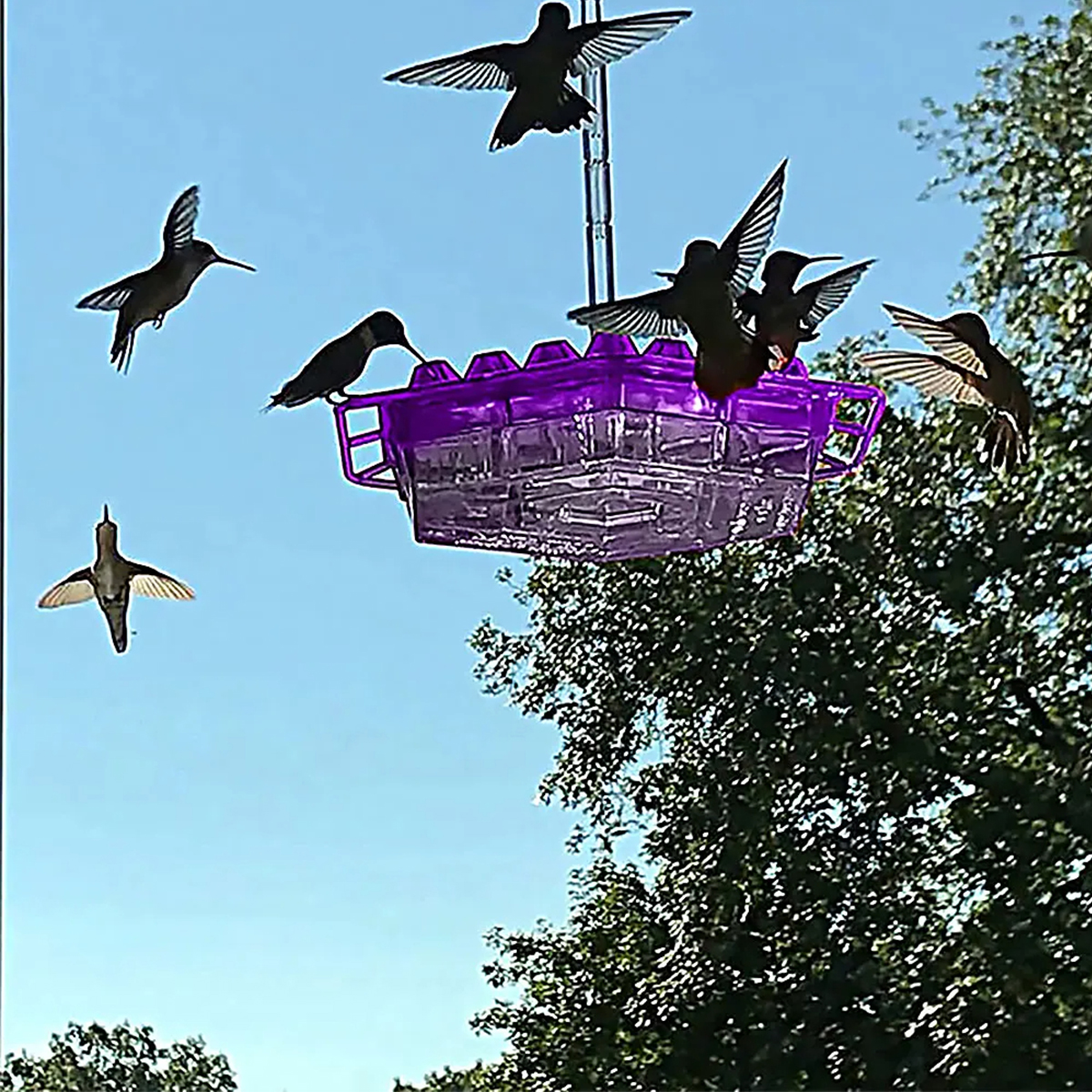 Hand-BlownHummingbirdFeederMulti-FeedPortsEasyCleanMountAcrylicOutdoorHangingBirdFeederWindChimesDes-2013404-3