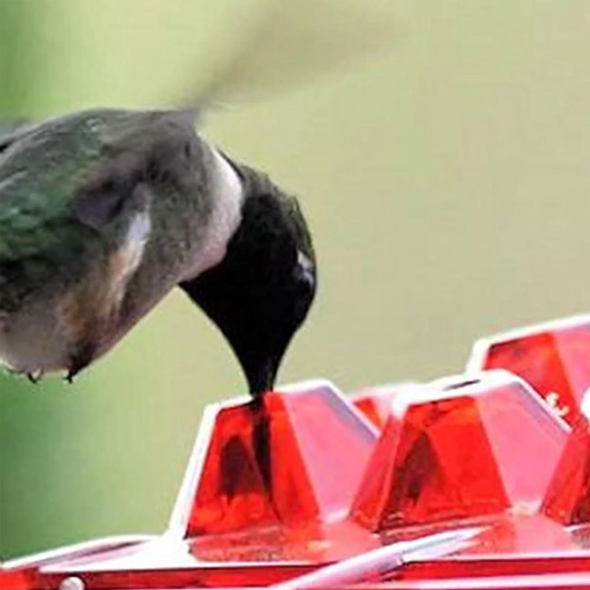 Hand-BlownHummingbirdFeederMulti-FeedPortsEasyCleanMountAcrylicOutdoorHangingBirdFeederWindChimesDes-2013404-4