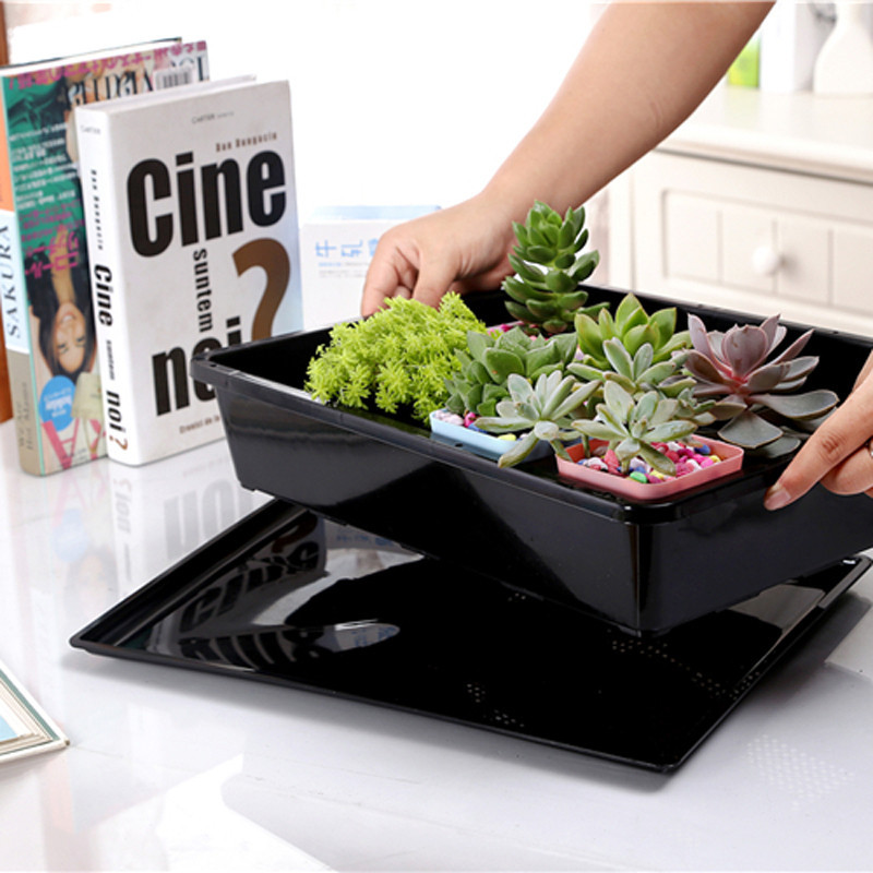 PlantsNurseryTrayLongRectangularPlasticFlowerPotTrayMulti-fleshSeedlingCeramicPotTray-1335594-2