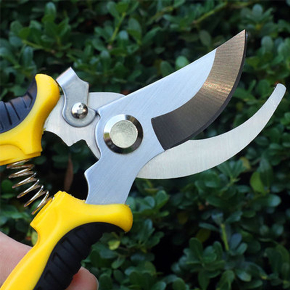 PrunerGardenScissorsProfessionalSharpBypassPruningShearsTreeTrimmersSecateursHandClippersForGardenBe-1977652-2
