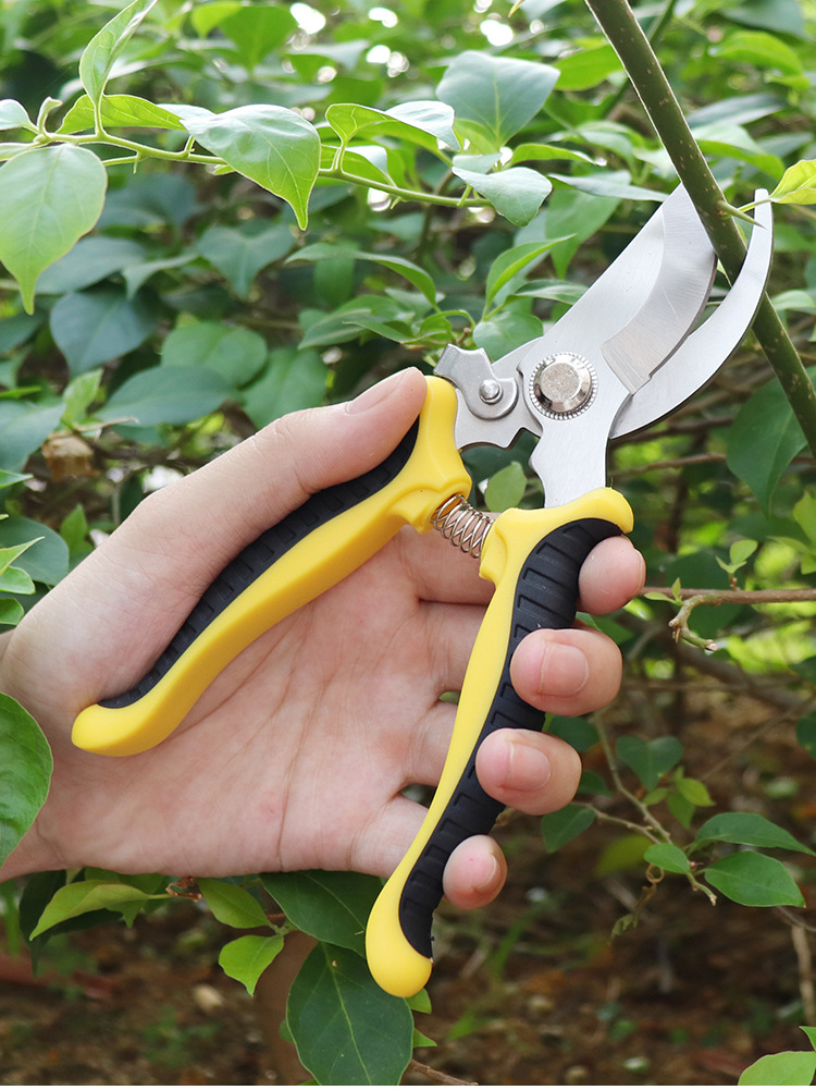 PrunerGardenScissorsProfessionalSharpBypassPruningShearsTreeTrimmersSecateursHandClippersForGardenBe-1995347-5