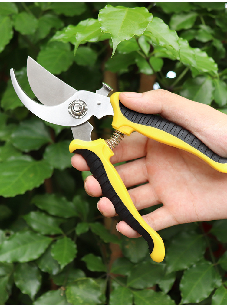 PrunerGardenScissorsProfessionalSharpBypassPruningShearsTreeTrimmersSecateursHandClippersForGardenBe-1995347-6