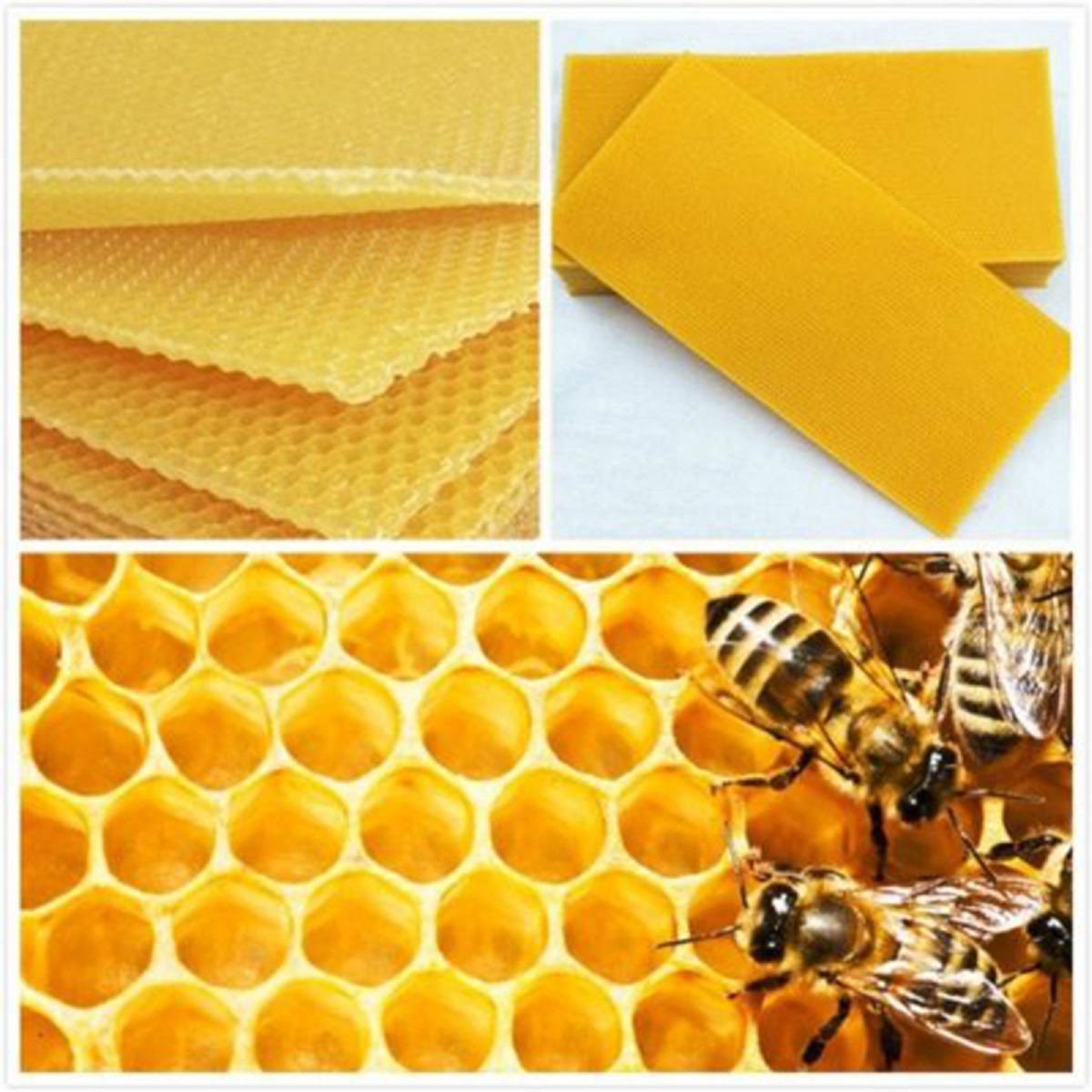 30PcsBeehiveBroodBoxWiredWaxFoundationHoneycombSheetsBeekeepingTools-1724908-6