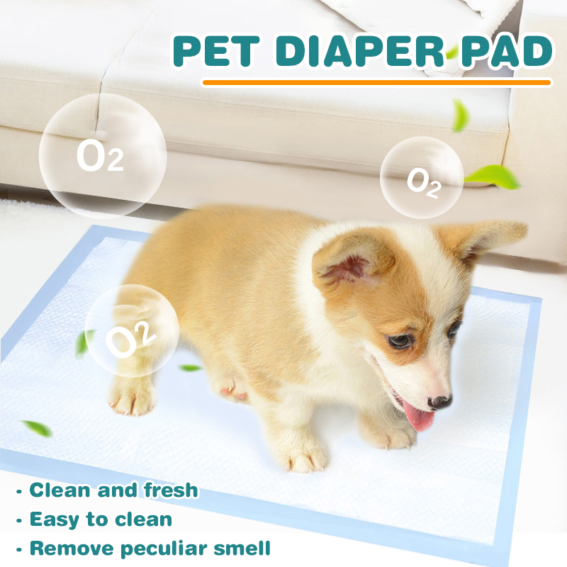 100504020PetDiapersDeodorantThickeningAbsorbentDiapersDisposableTrainingUrinePadDogDiapers-1819403-5