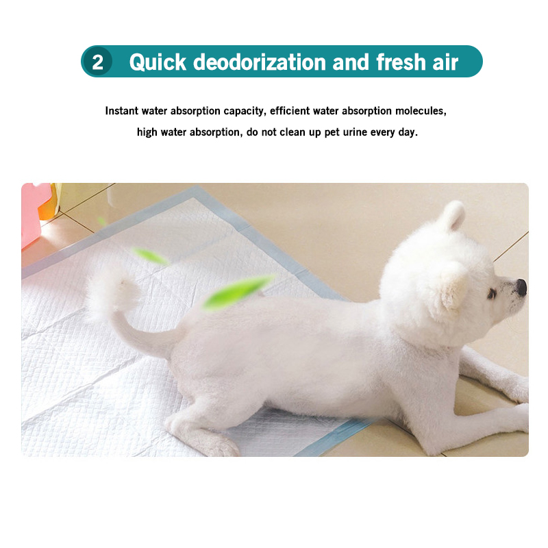 100504020PetDiapersDeodorantThickeningAbsorbentDiapersDisposableTrainingUrinePadDogDiapers-1819403-7