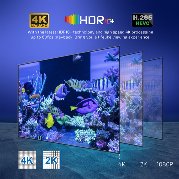 TV98H313DualBandWiFiAndroid12TVBOX216GBSettopBoxHighDefinitionFastandReliableConnectionBrandNew-1984471-3