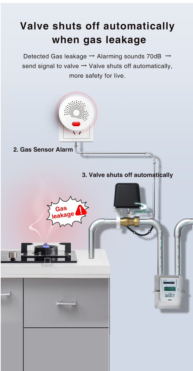TuyaZigbeNaturalGasSensorEUCombustibleHouseholdSmartLPGGasAlarmDetectorLeakageSensorfireSafetySmartH-1980367-6