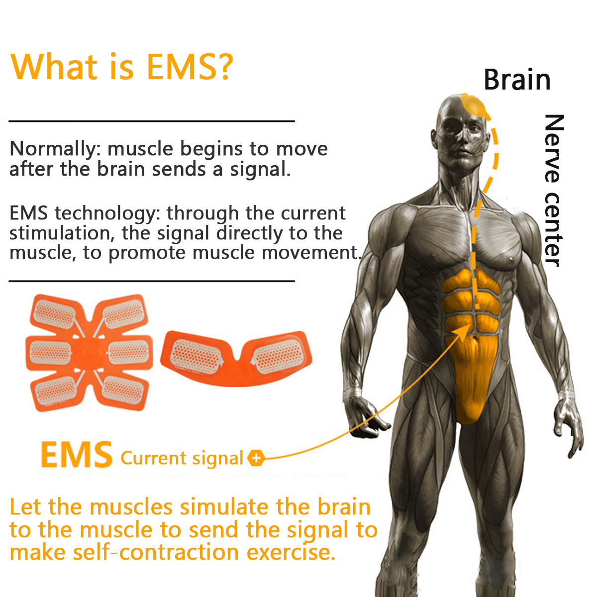 KALOADElectronicAbdominalMuscleBuildingEquipmentPortableBodyFitnessToningBeltHipTrainer-1349782-3