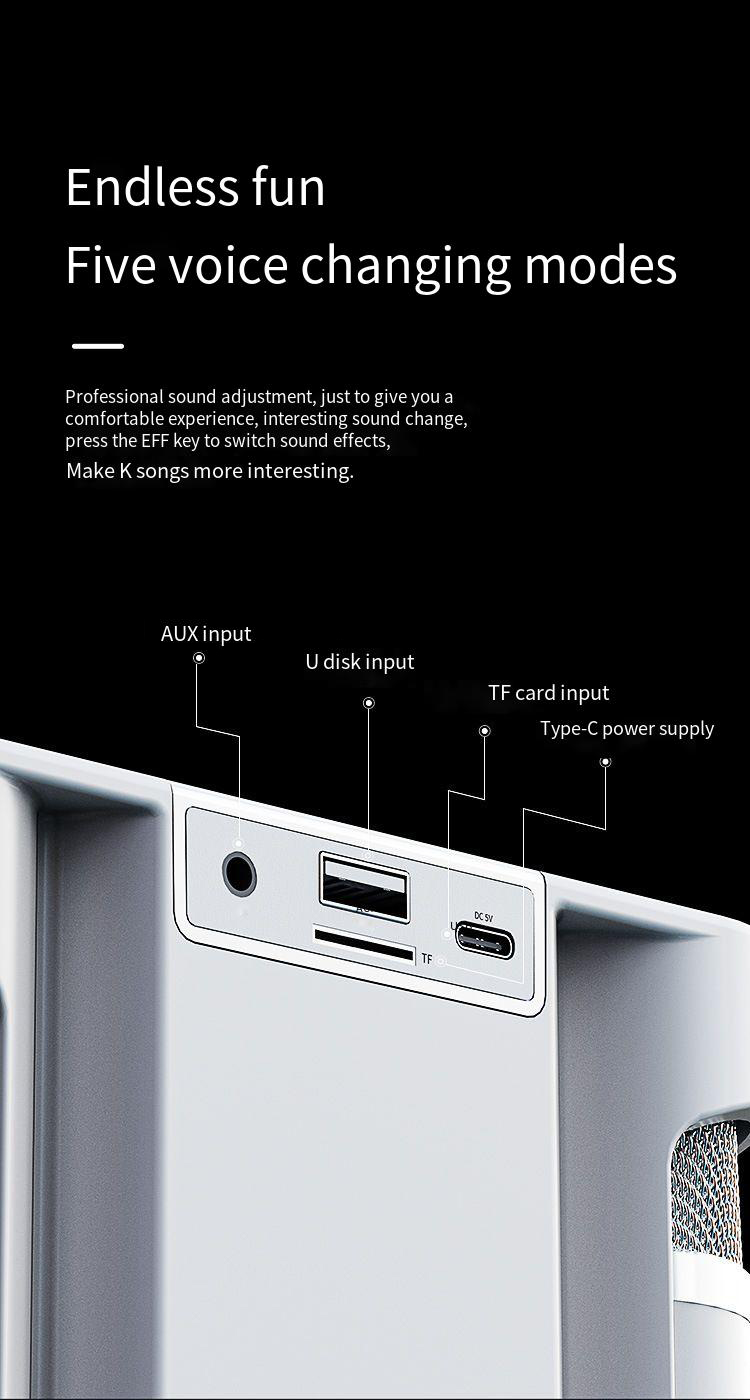 YS203bluetoothSpeakerwithDualWirelessMicrophoneSurroundStereoSoundDeepBass3000mAhHomeKaraokeMachineK-2004057-10